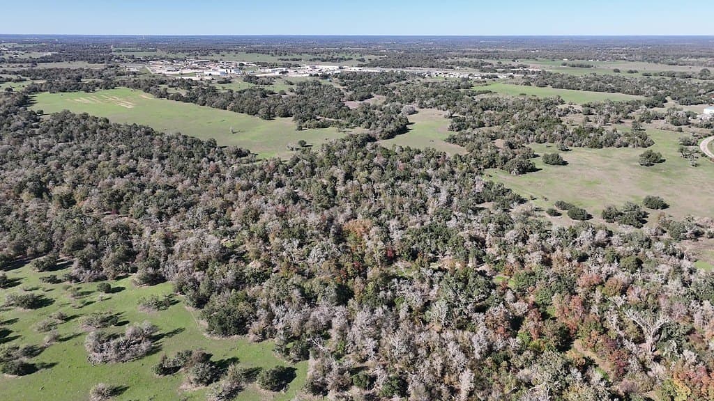 276.92 acres in Lee County - photo 21