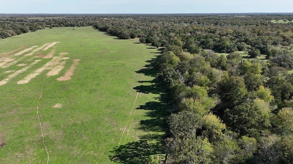 276.92 acres in Lee County - photo 22