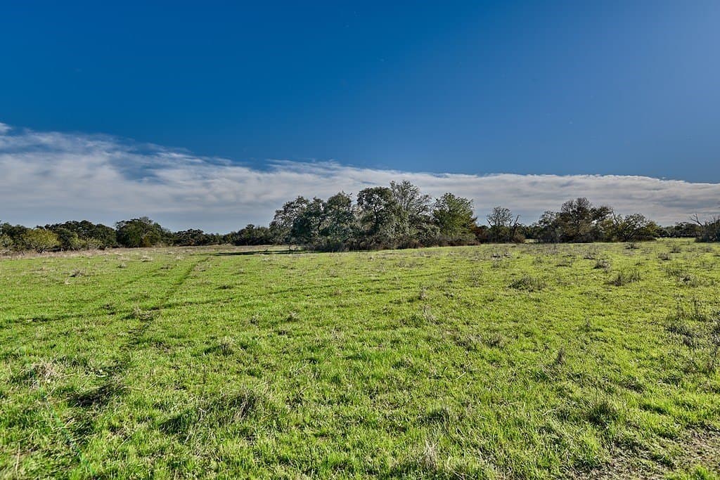 276.92 acres in Lee County featured view