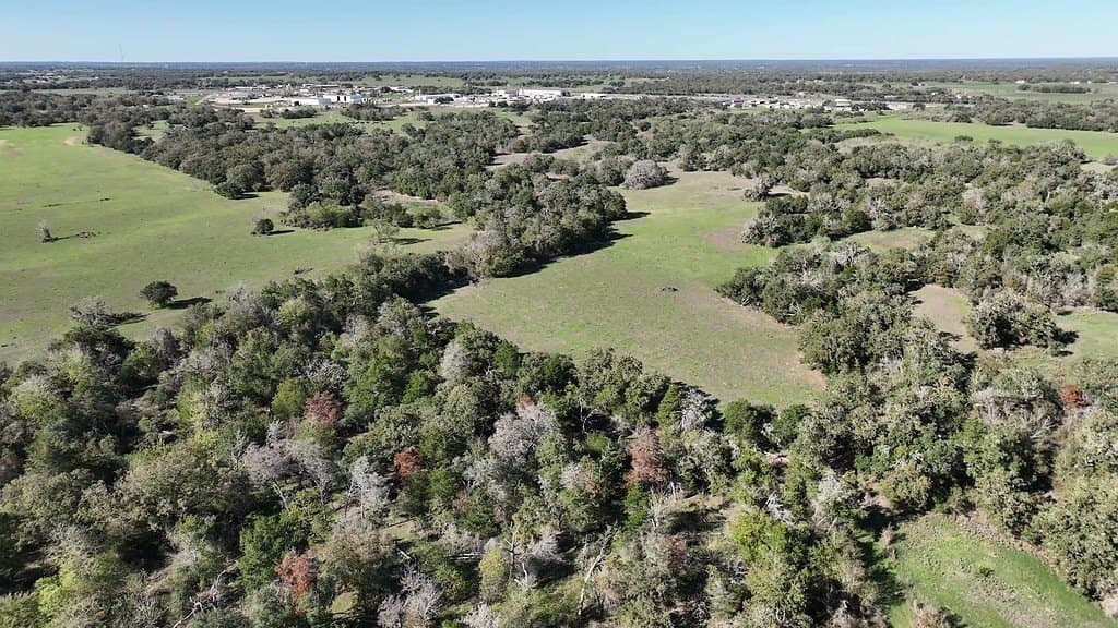 276.92 acres in Lee County - photo 20