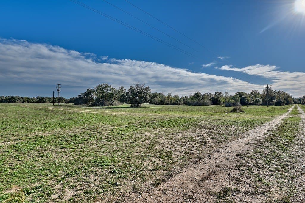 276.92 acres in Lee County - photo 7