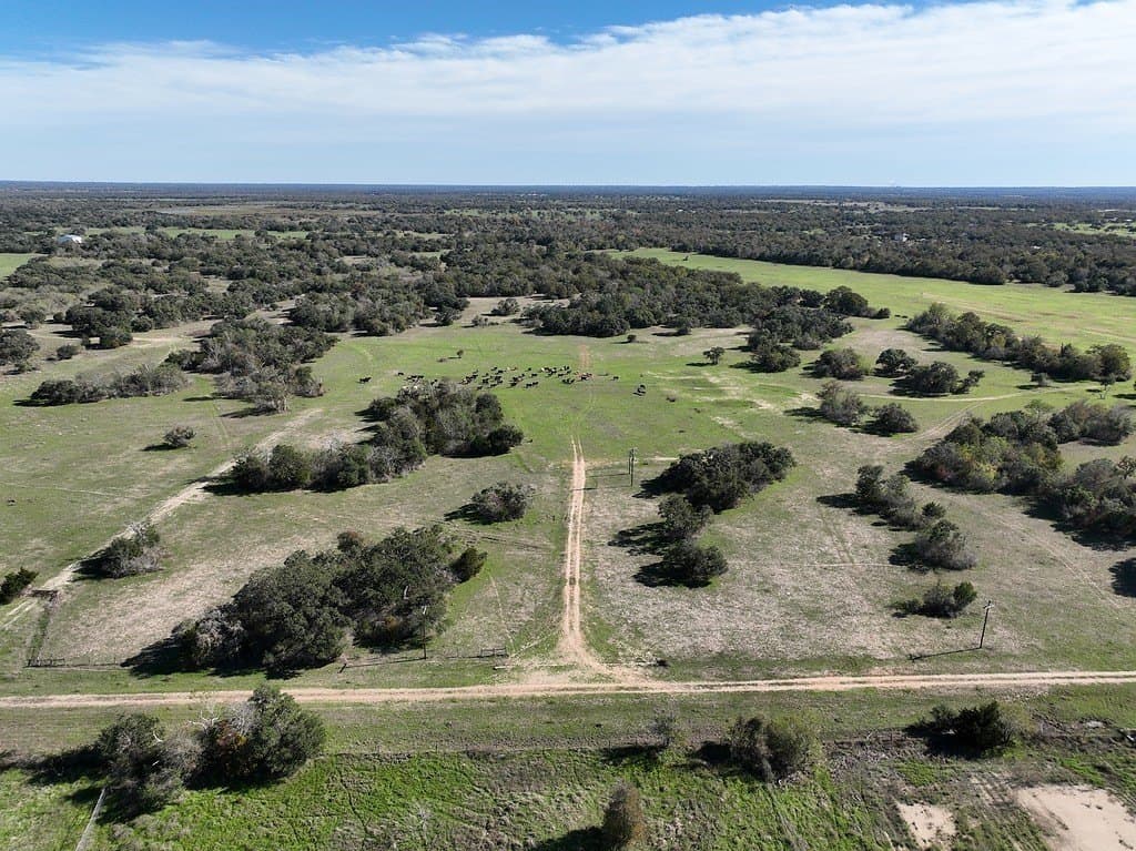 276.92 acres in Lee County - photo 13