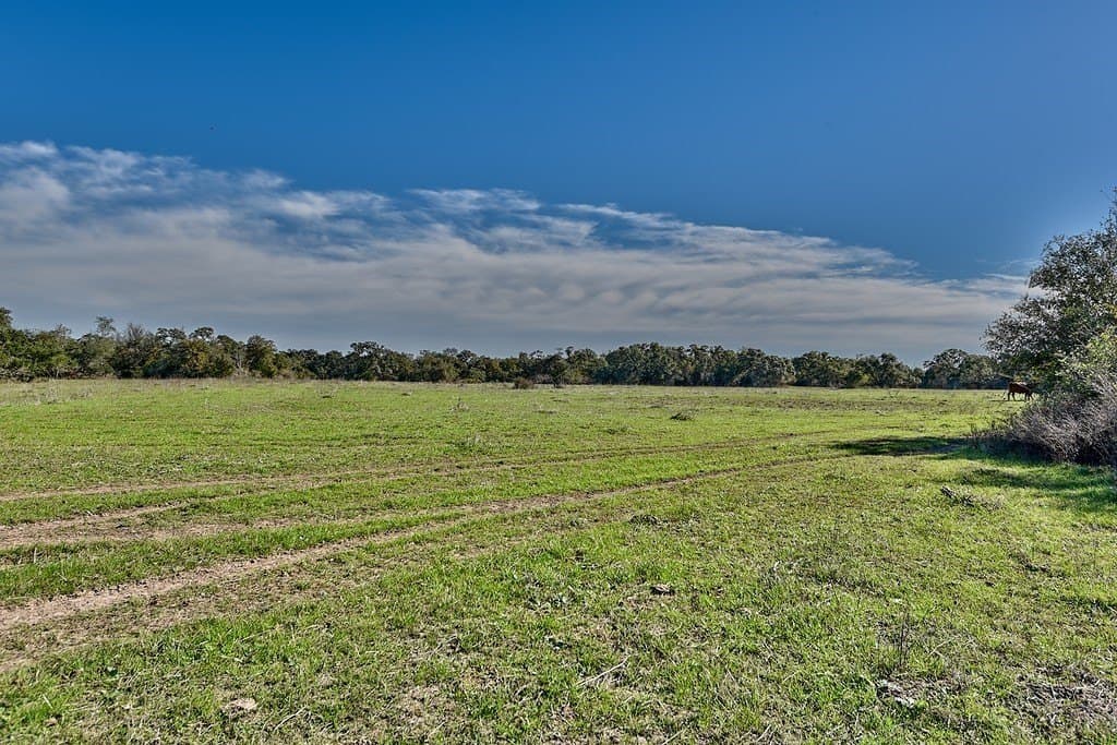 276.92 acres in Lee County - photo 6