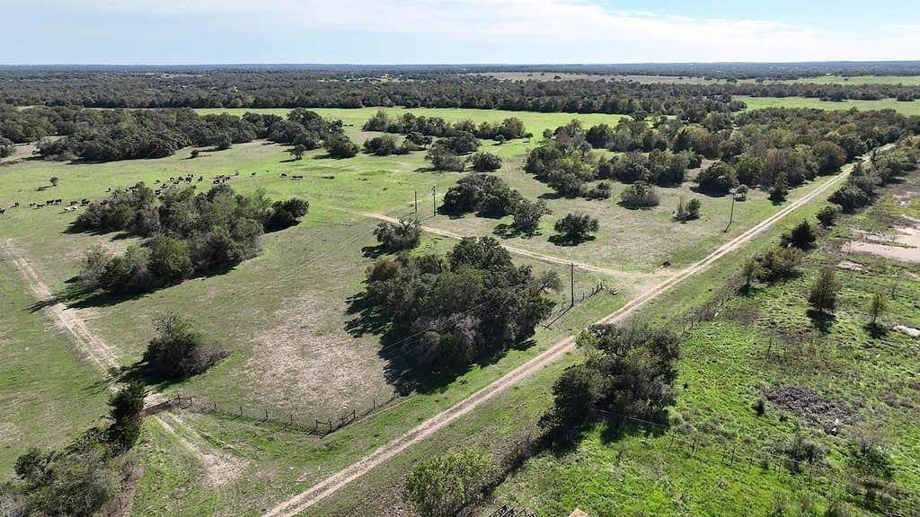 276.92 acres in Lee County - photo 25