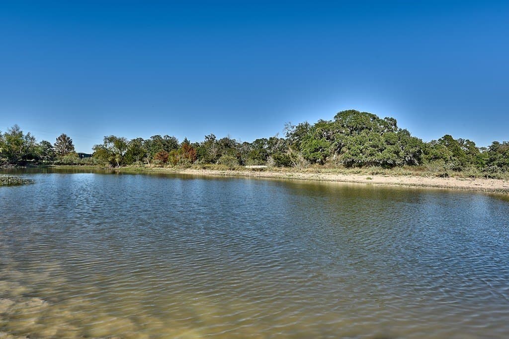 276.92 acres in Lee County - photo 8