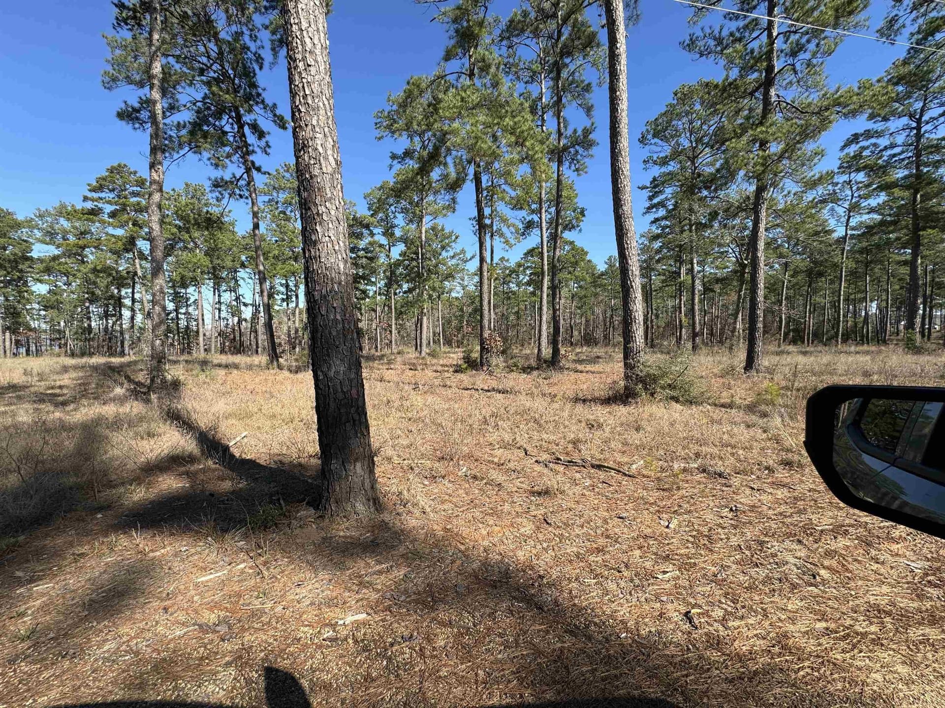 1 acres in Texas County featured view