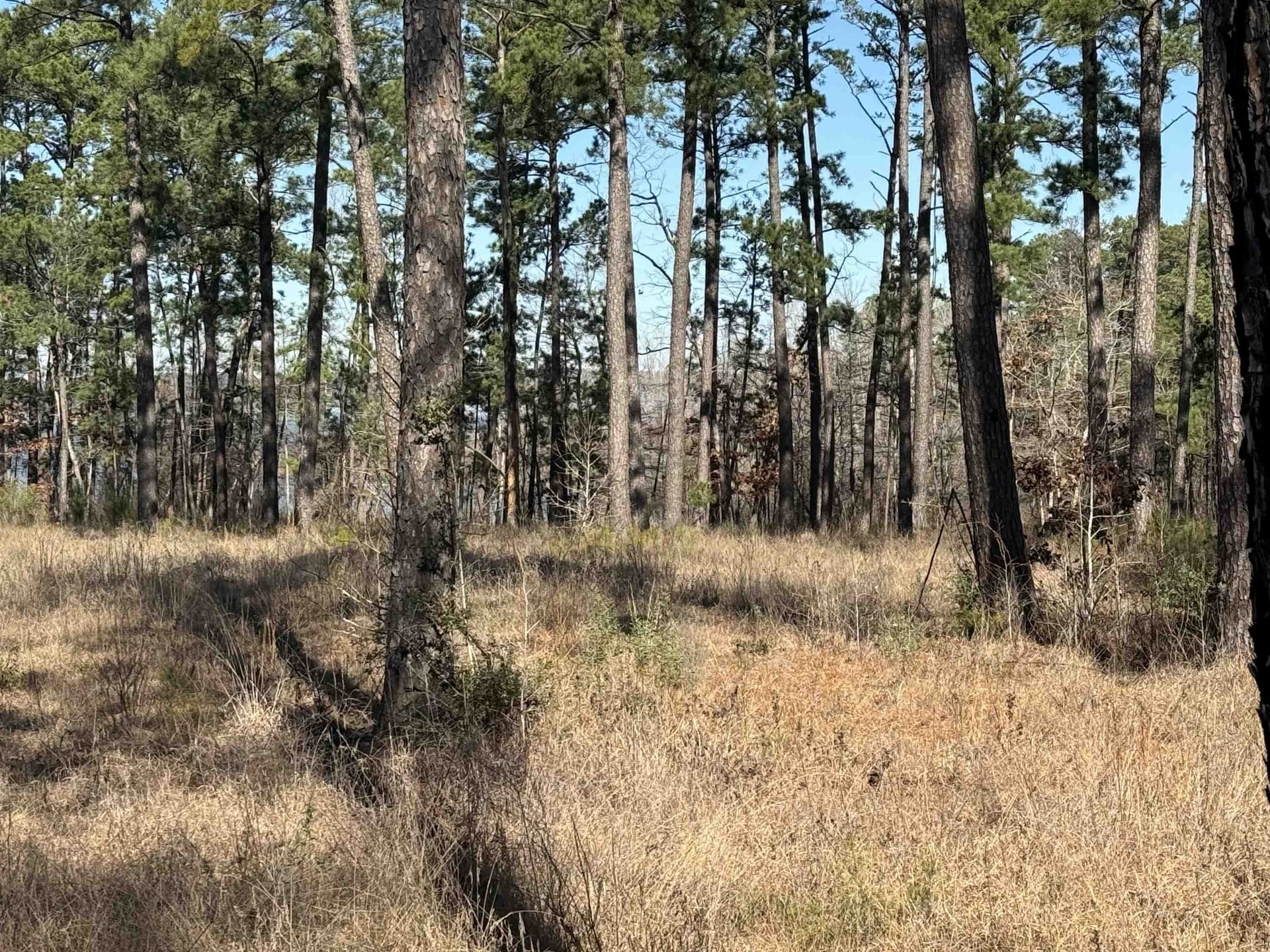 1 acres in Texas County