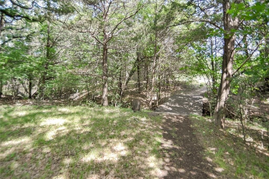 20.61 acres in Grayson County gallery image 4