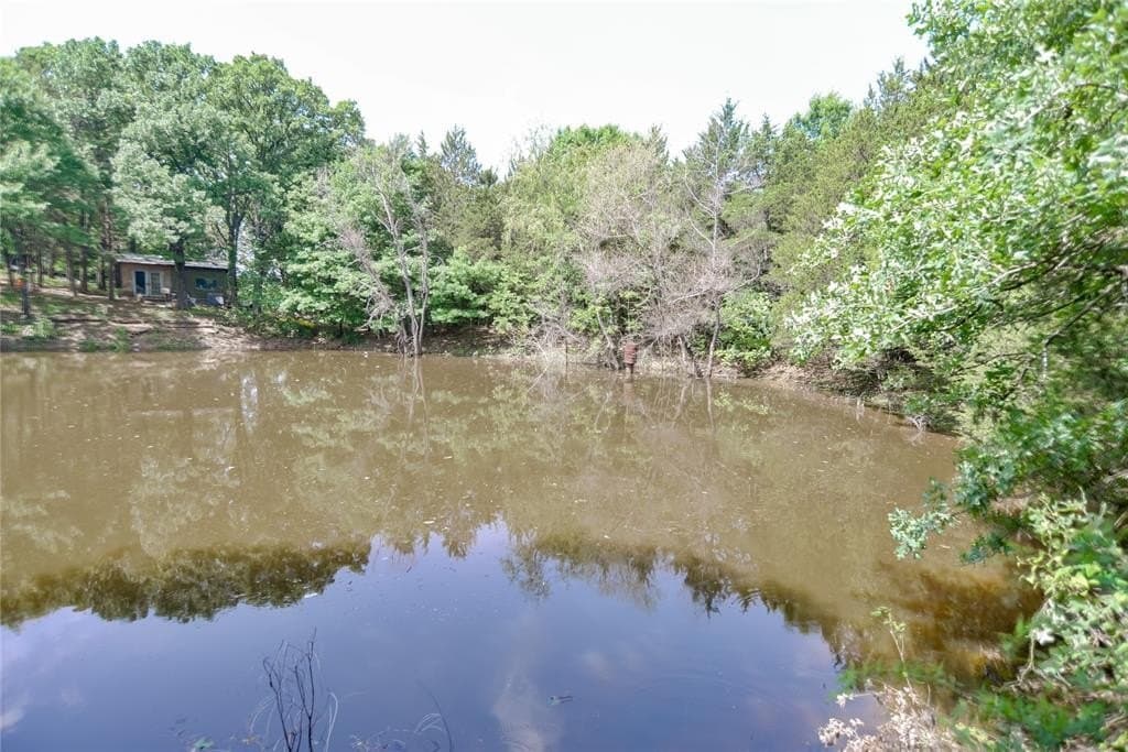 20.61 acres in Grayson County gallery image 3