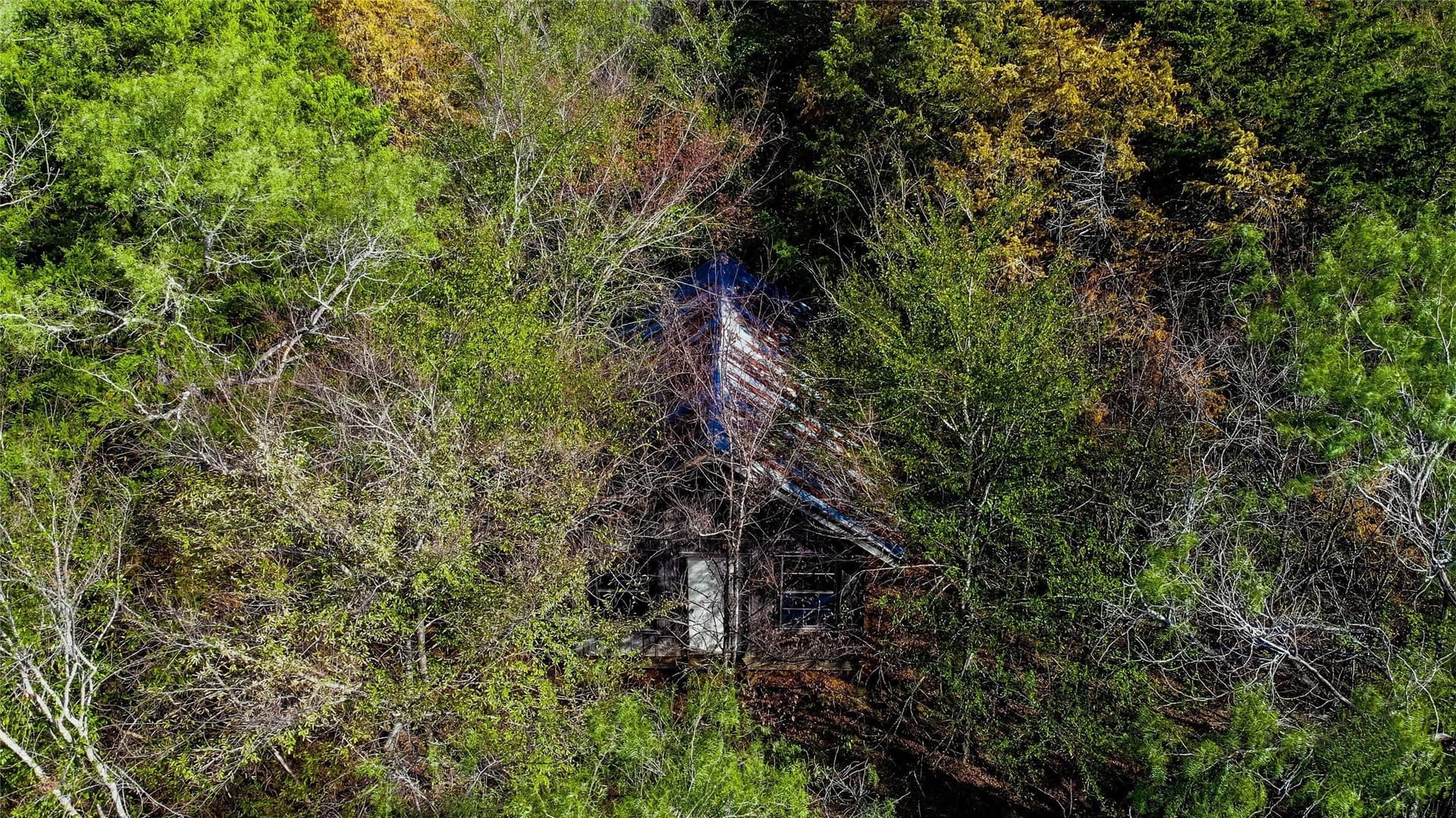 6.2 acres in Navarro County - photo 11