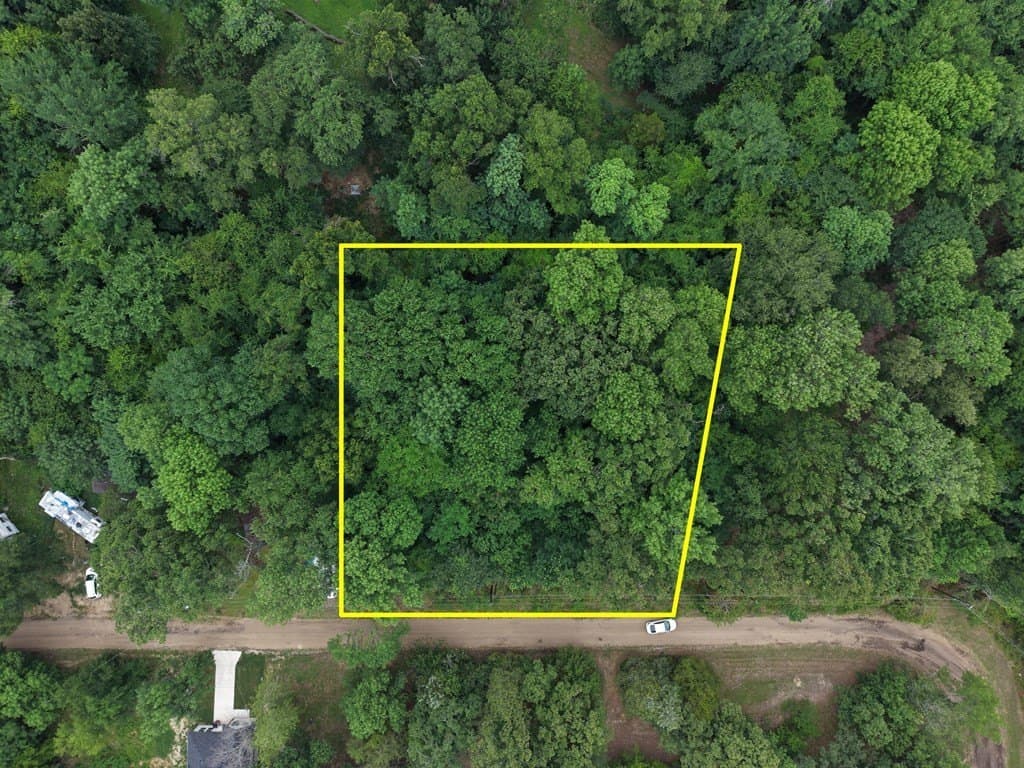 1.1 acres in Henderson County gallery image 2