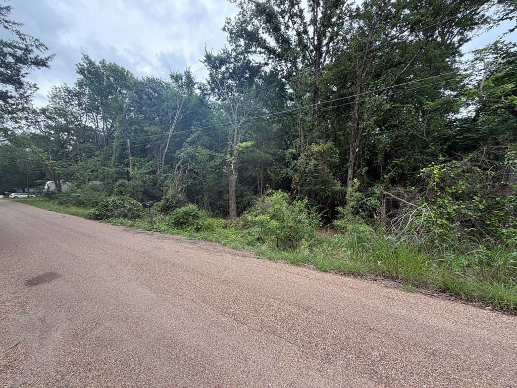 1.1 acres in Henderson County gallery image 4