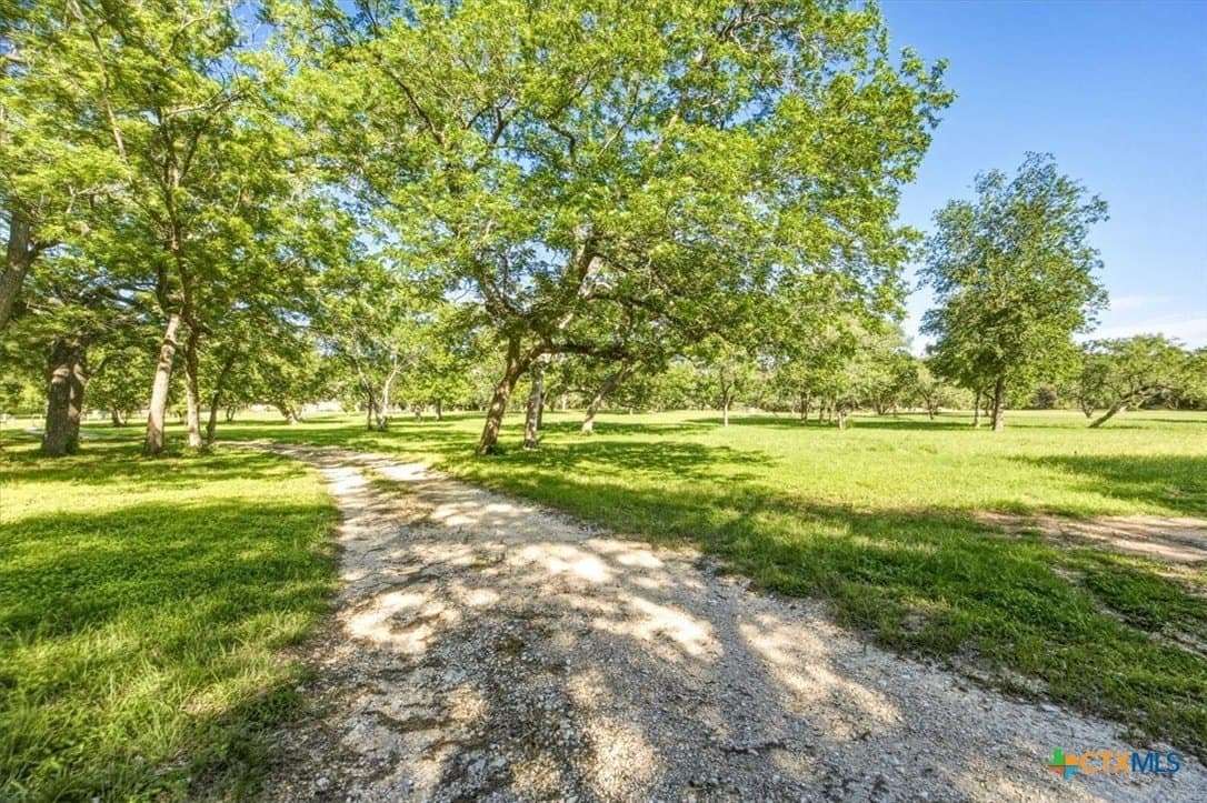 24.03 acres in Hays County - photo 3