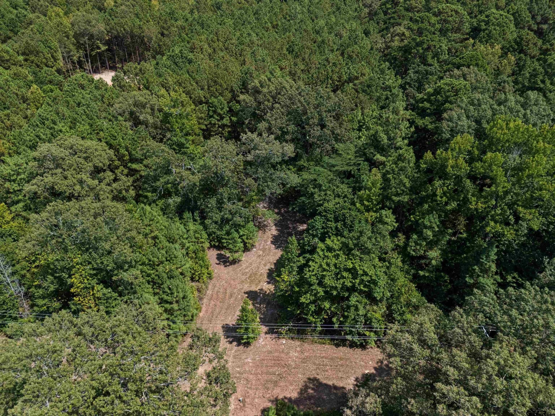 1.21 acres in Upshur County - photo 8