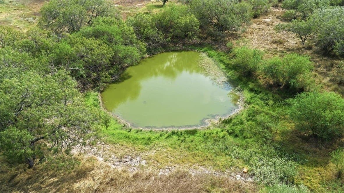 72.45 acres in Jim Wells County - photo 5