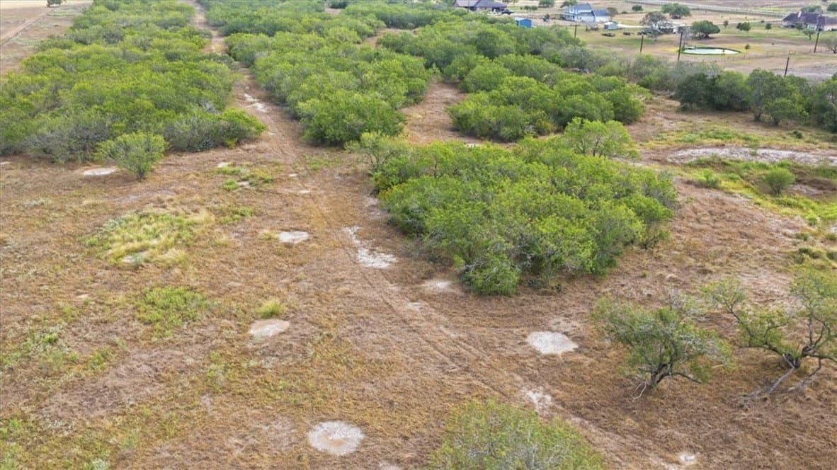 72.45 acres in Jim Wells County - photo 7
