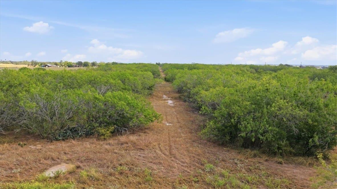 72.45 acres in Jim Wells County - photo 9