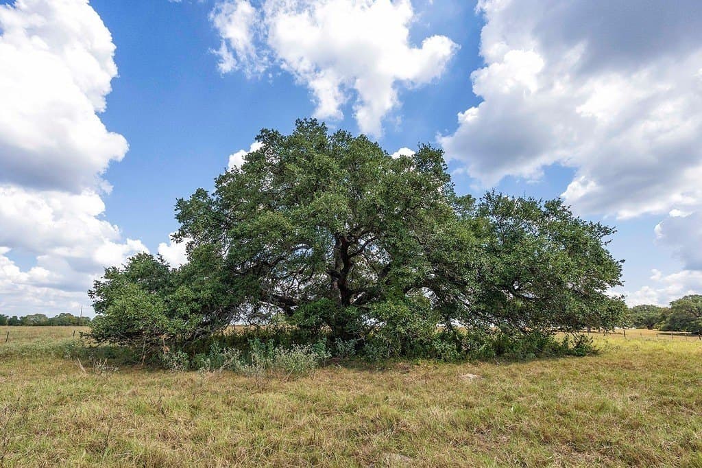 41.59 acres in Fayette County - photo 15