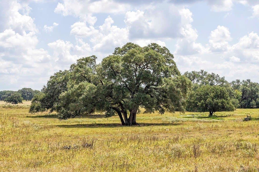 41.59 acres in Fayette County - photo 16
