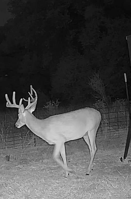 41.59 acres in Fayette County