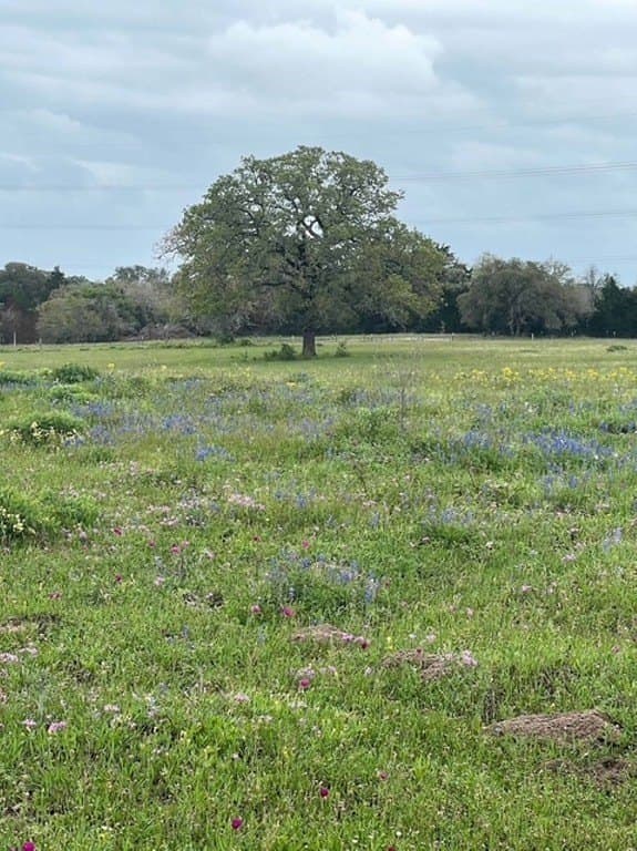 41.59 acres in Fayette County featured view