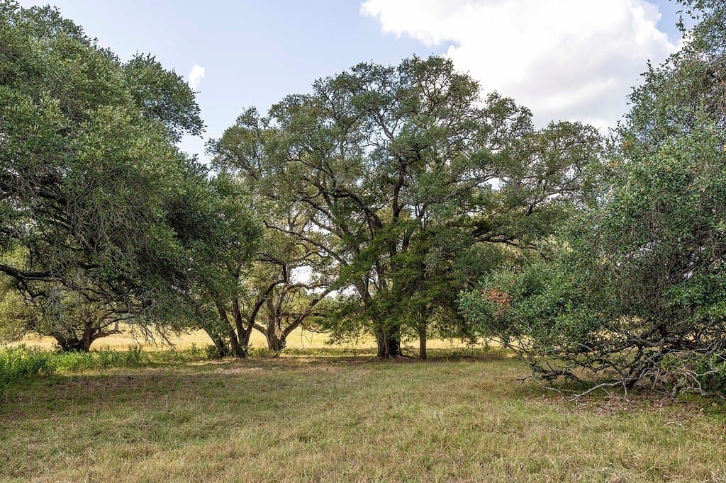 41.59 acres in Fayette County - photo 14