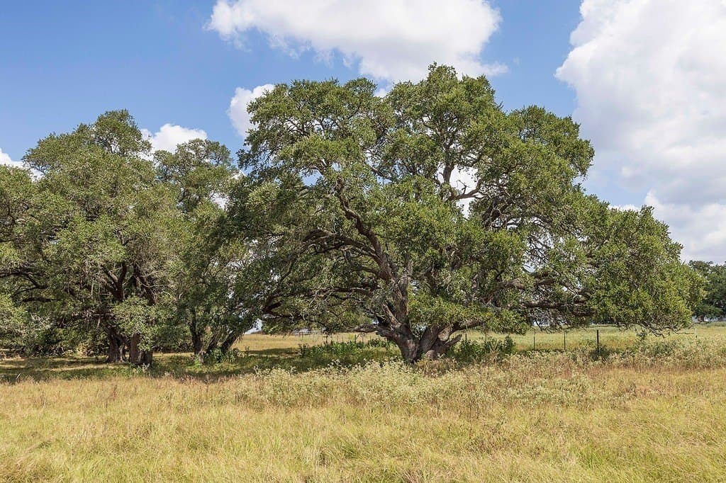 41.59 acres in Fayette County - photo 13