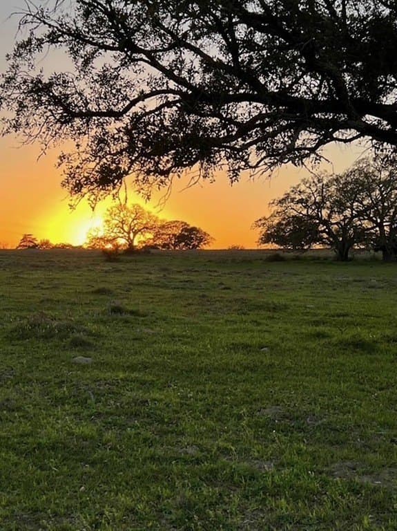 41.59 acres in Fayette County