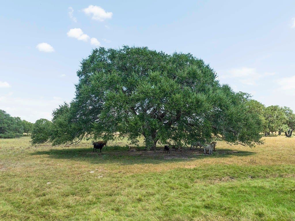41.59 acres in Fayette County - photo 12