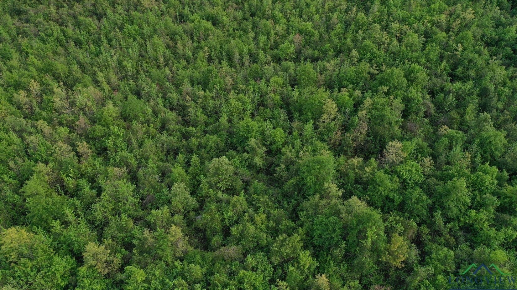 17.5 acres in Cass County gallery image 4