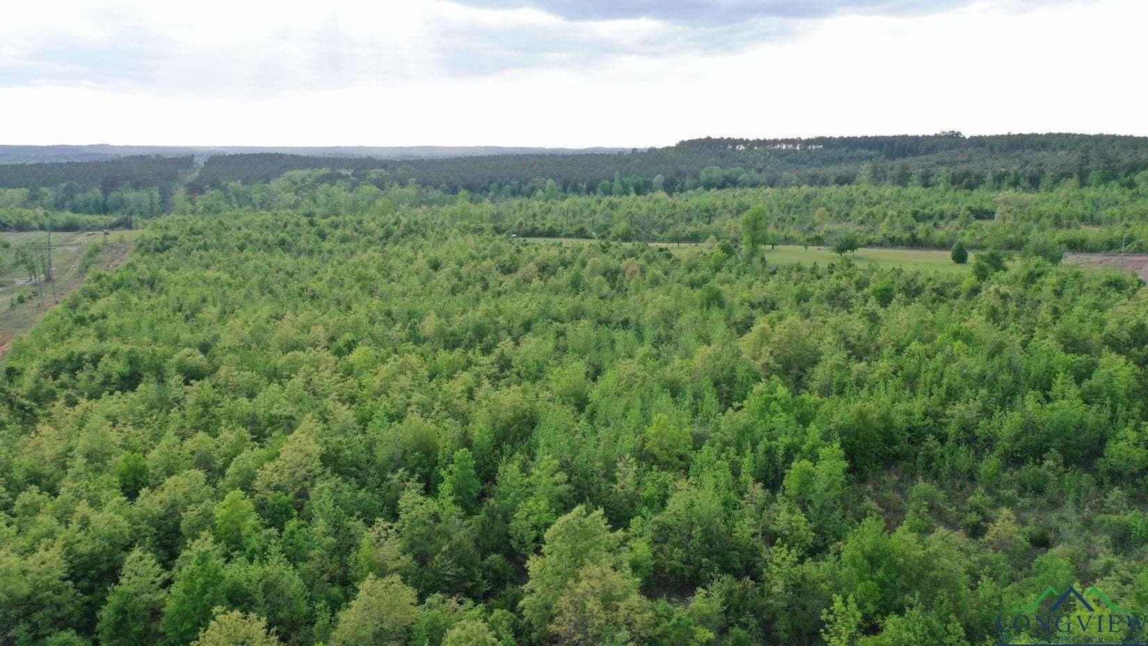 17.5 acres in Cass County gallery image 2