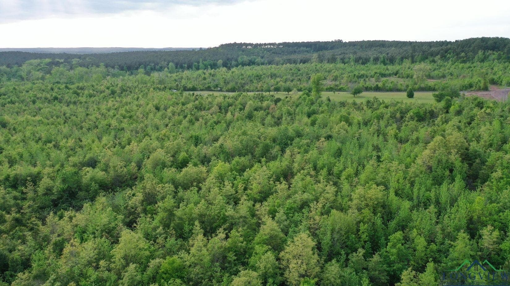 17.5 acres in Cass County gallery image 3