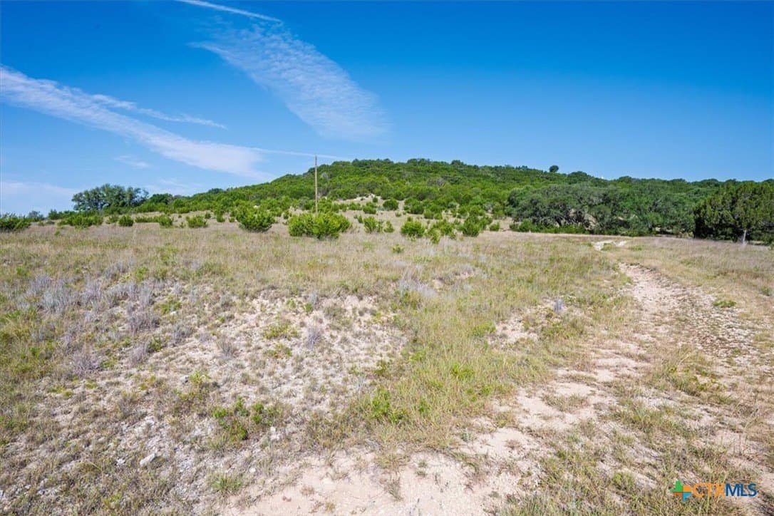 177 acres in Coryell County gallery image 3