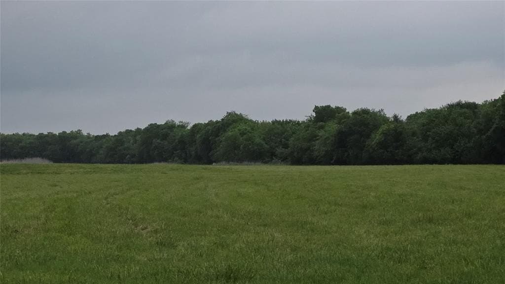 65.55 acres in Fannin County gallery image 3