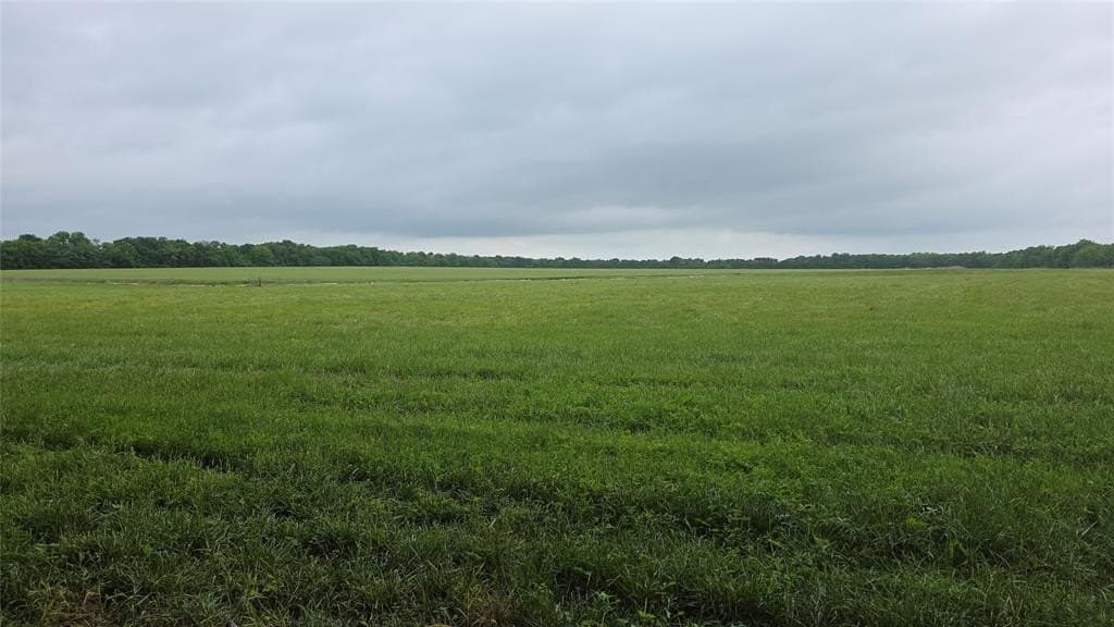65.55 acres in Fannin County featured view