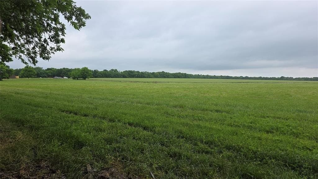 65.55 acres in Fannin County gallery image 4