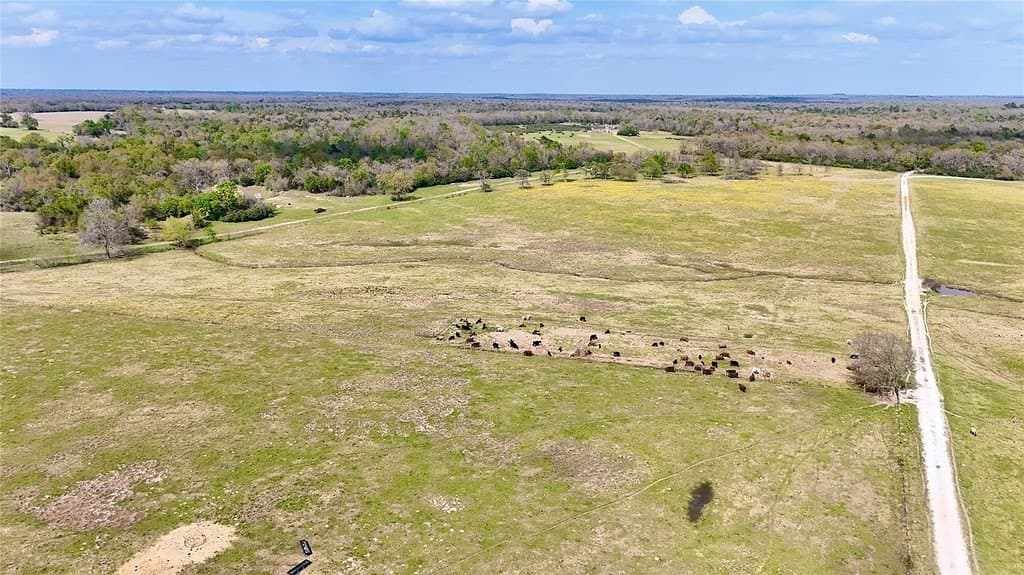 21.84 acres in Limestone County gallery image 2