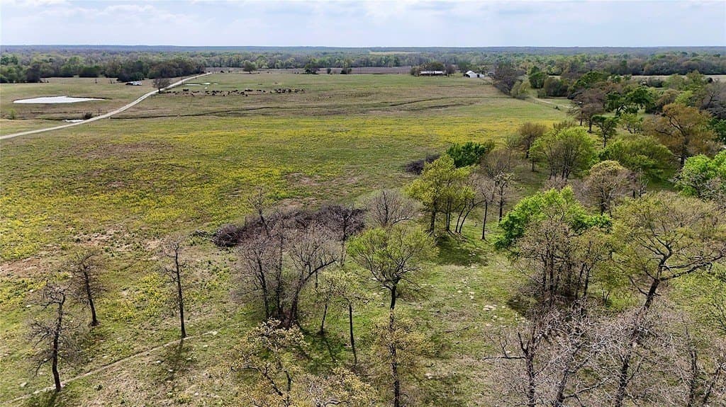 21.84 acres in Limestone County