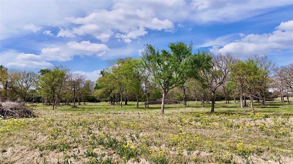 21.84 acres in Limestone County gallery image 3