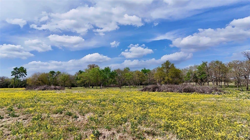 21.84 acres in Limestone County gallery image 4