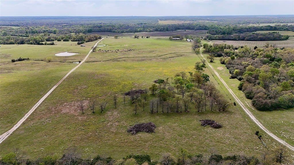 21.84 acres in Limestone County featured view