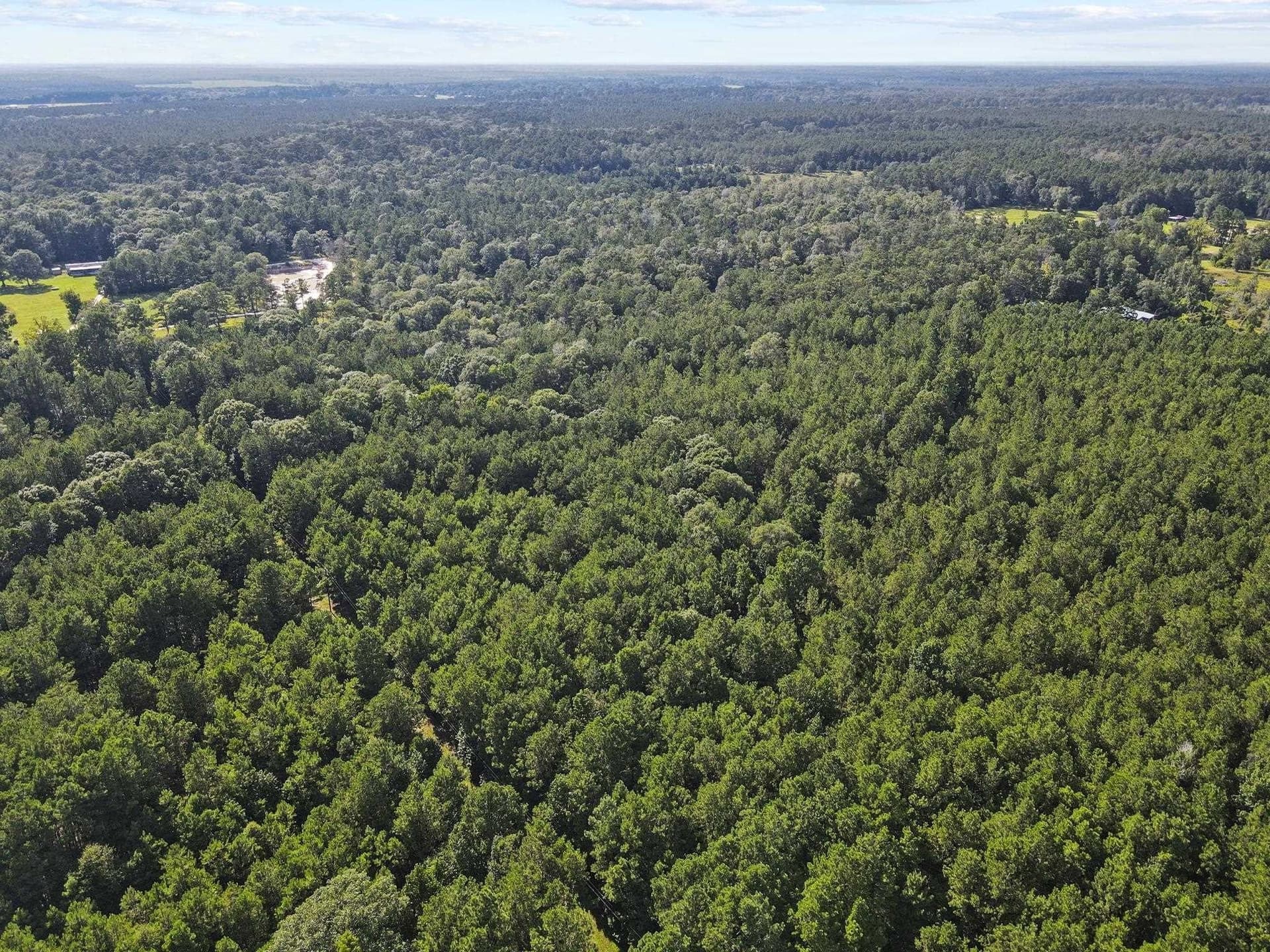 15 acres in Texas County