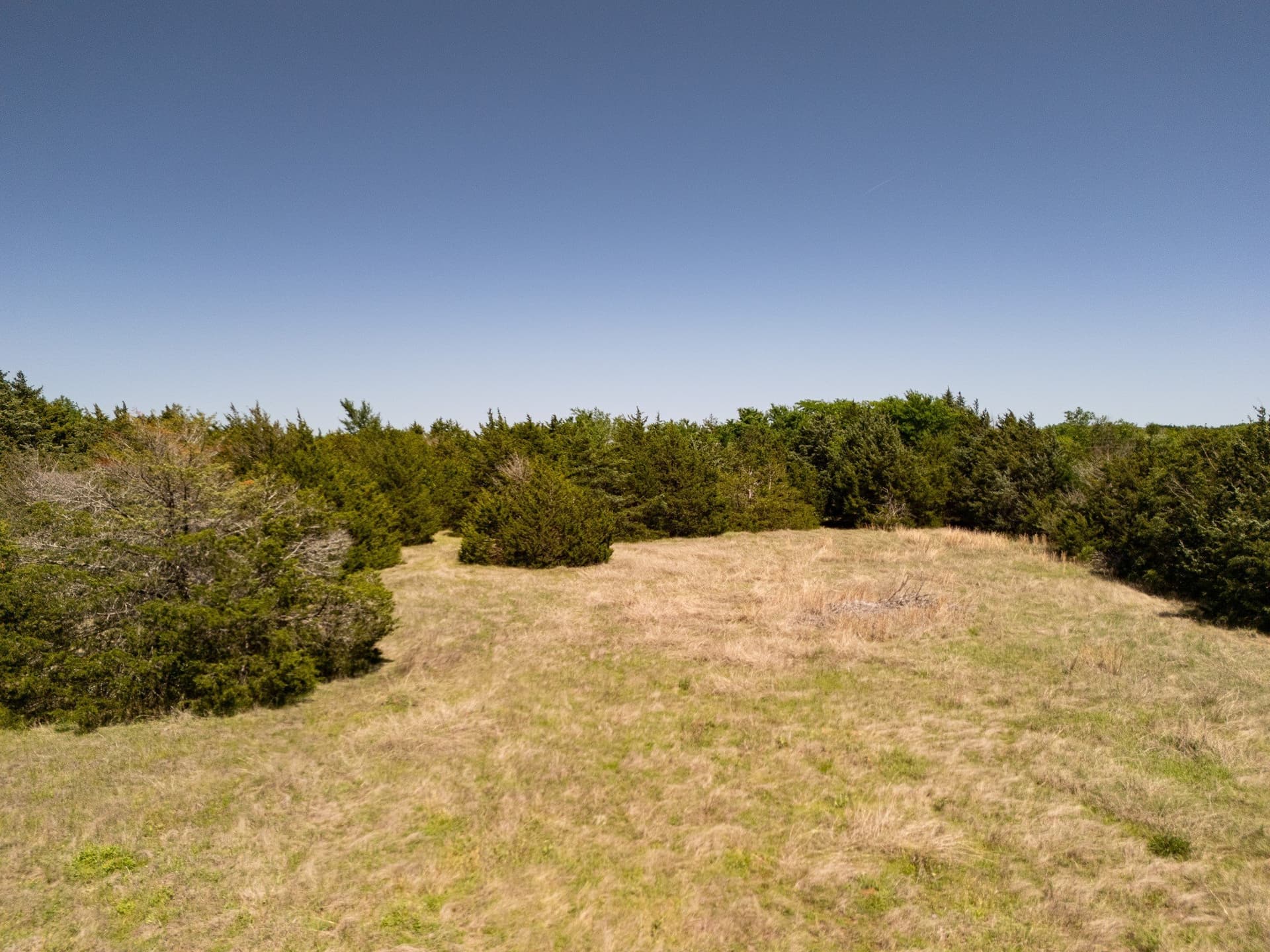 13 acres in Hopkins County - photo 18