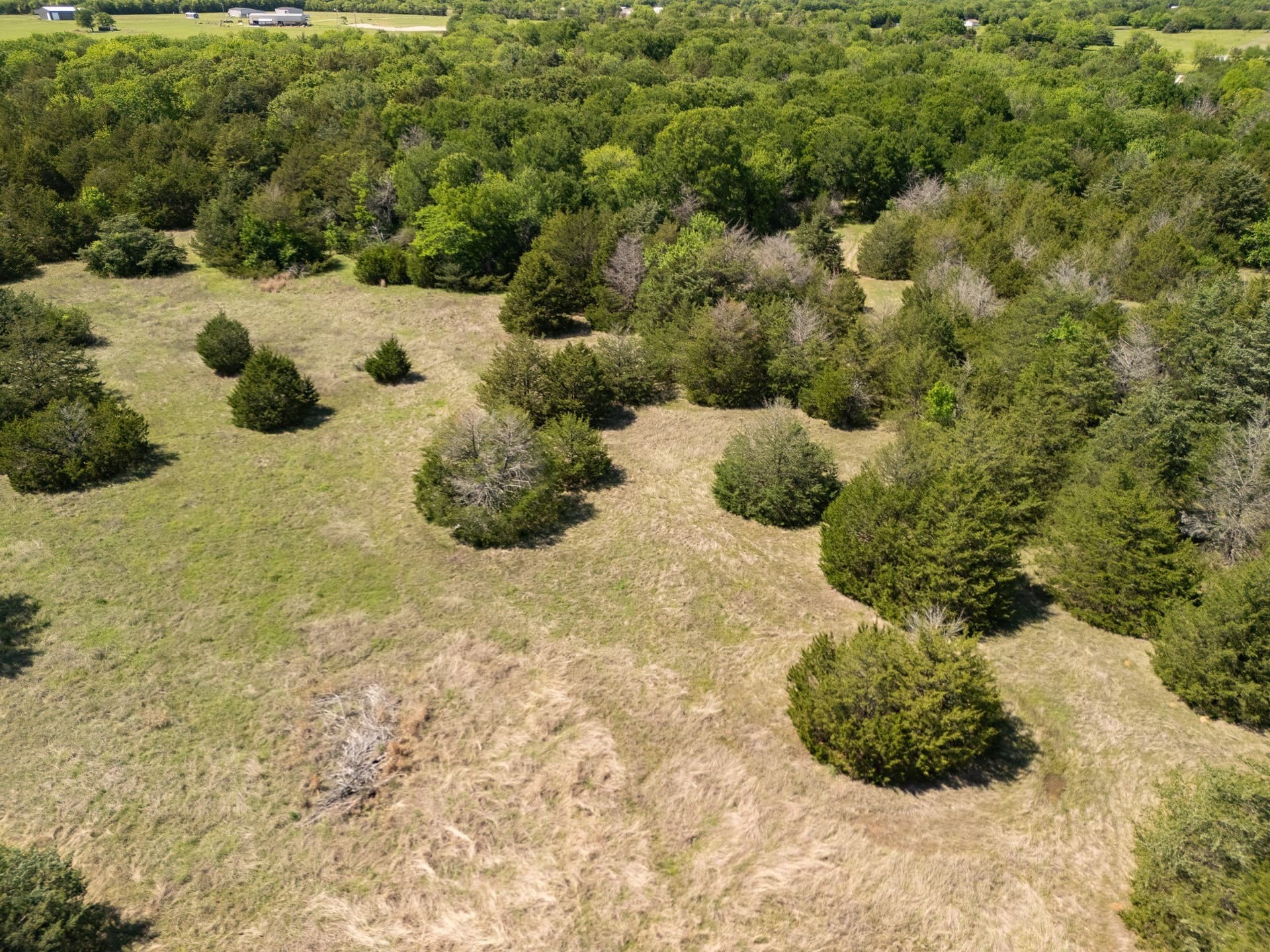 13 acres in Hopkins County - photo 15