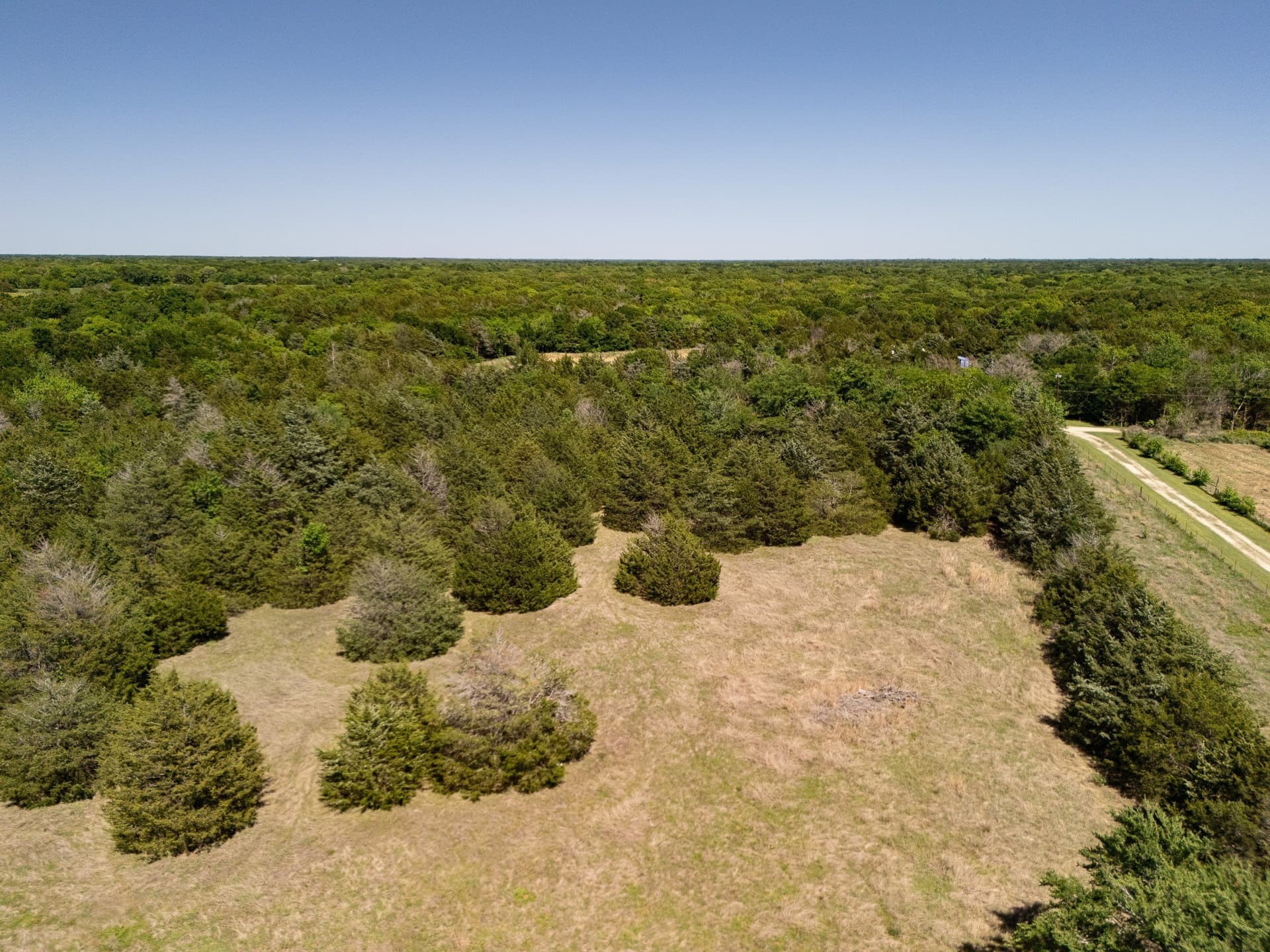 13 acres in Hopkins County - photo 17
