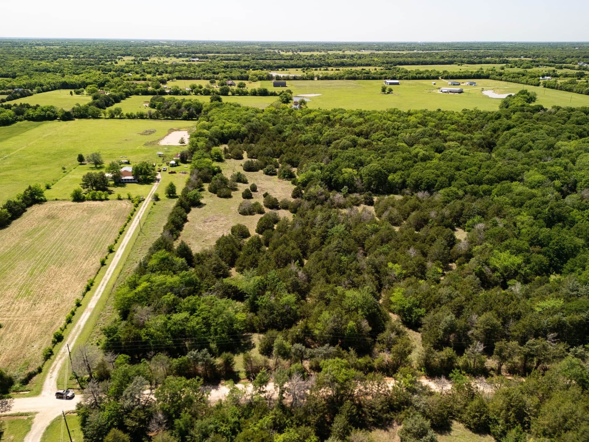 13 acres in Hopkins County gallery image 2