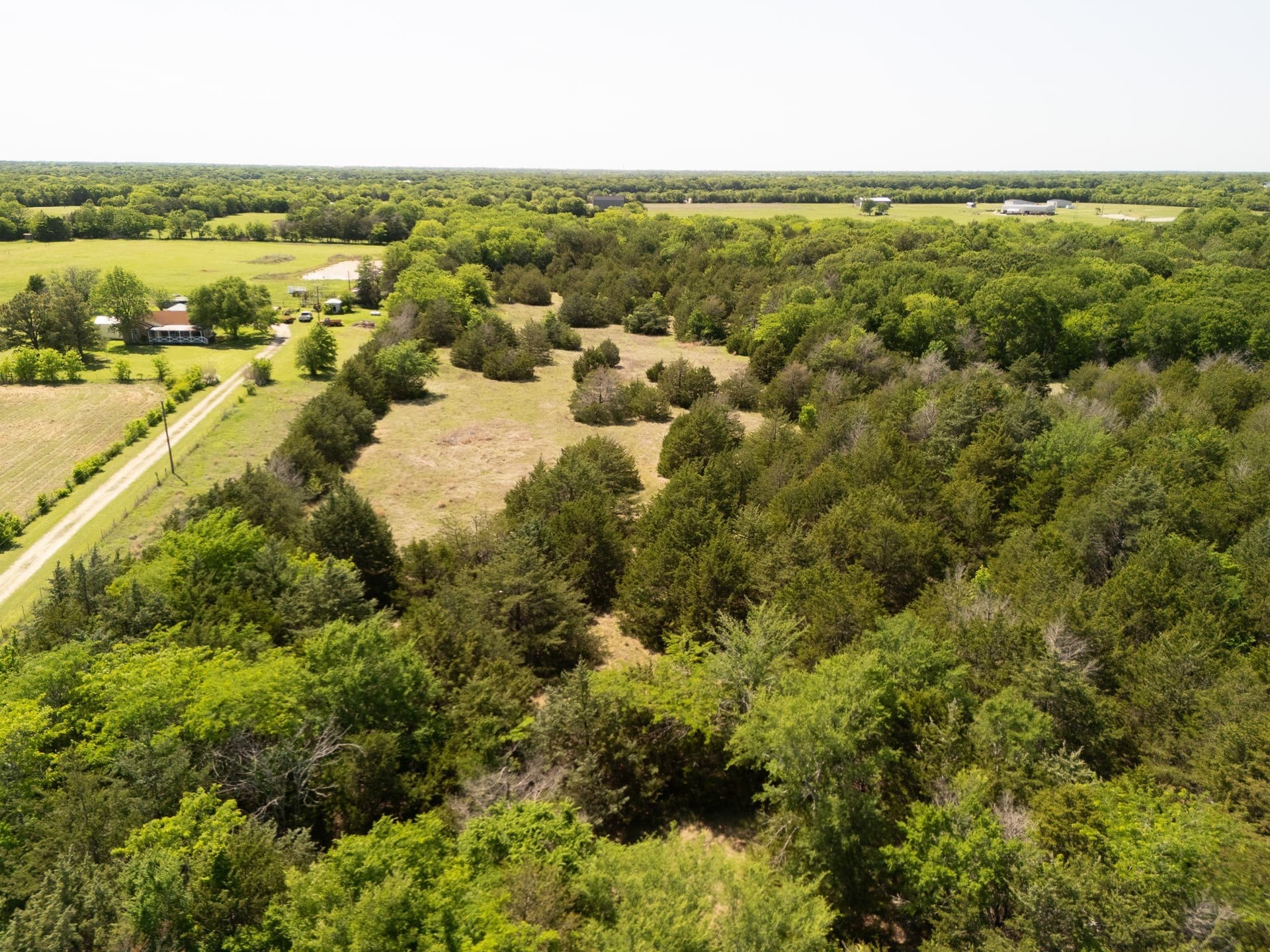 13 acres in Hopkins County - photo 14