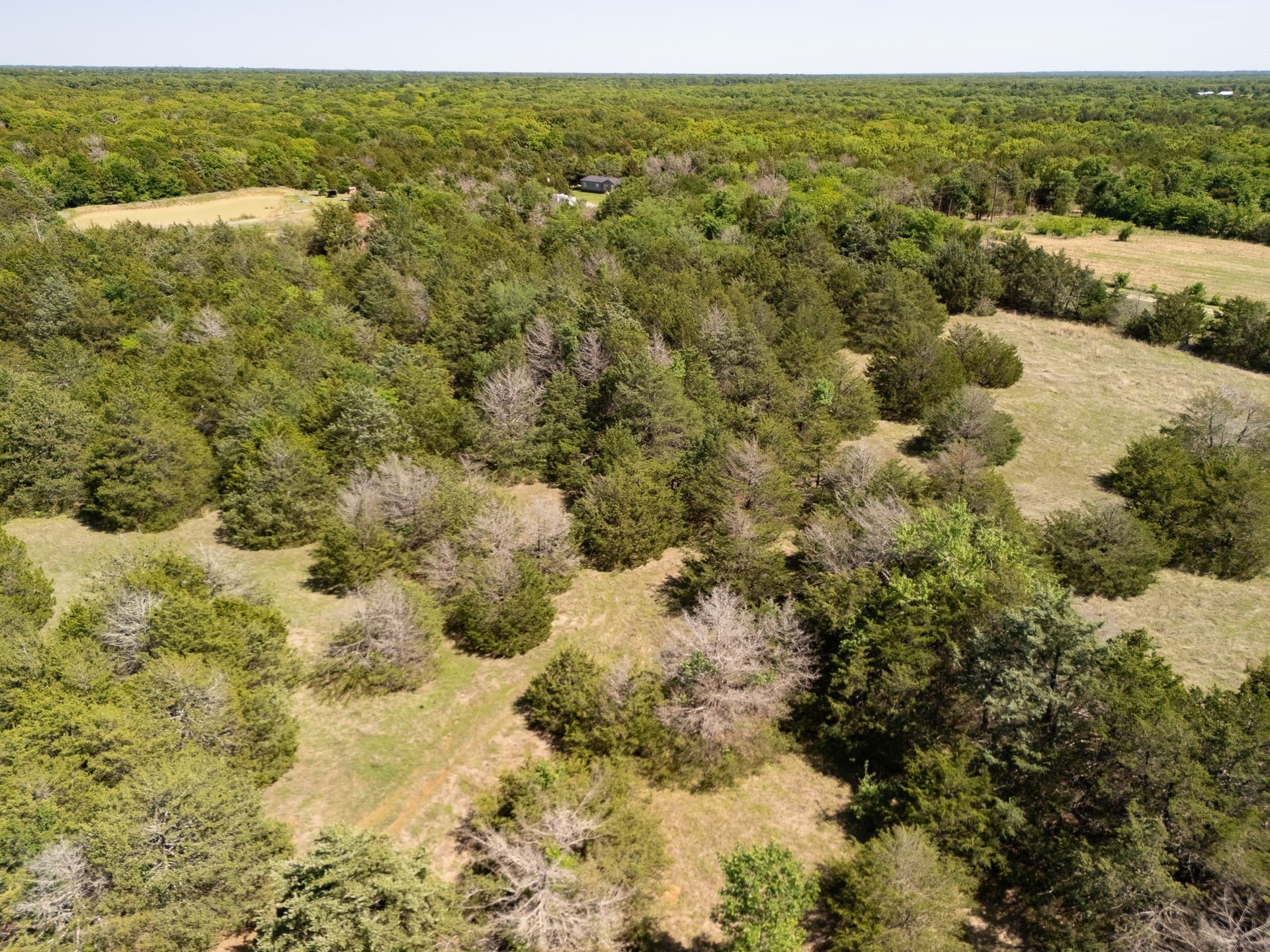 13 acres in Hopkins County - photo 16
