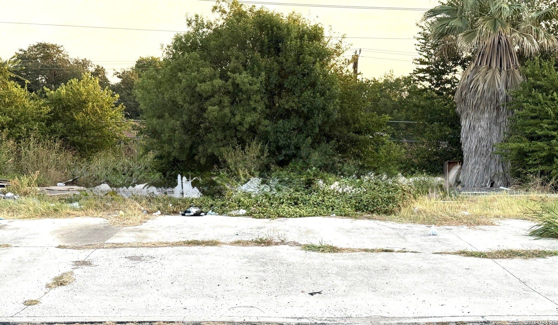 0.2 acres in Bexar County - photo 4