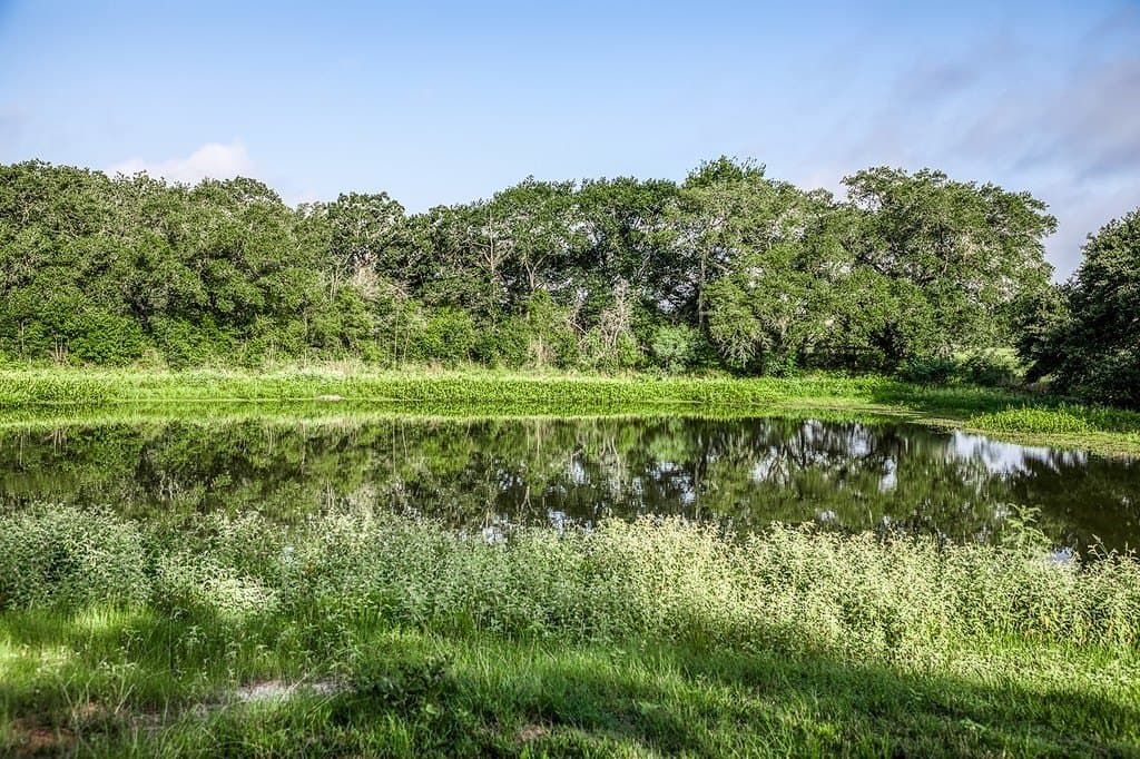 16.8 acres in Fayette County gallery image 3